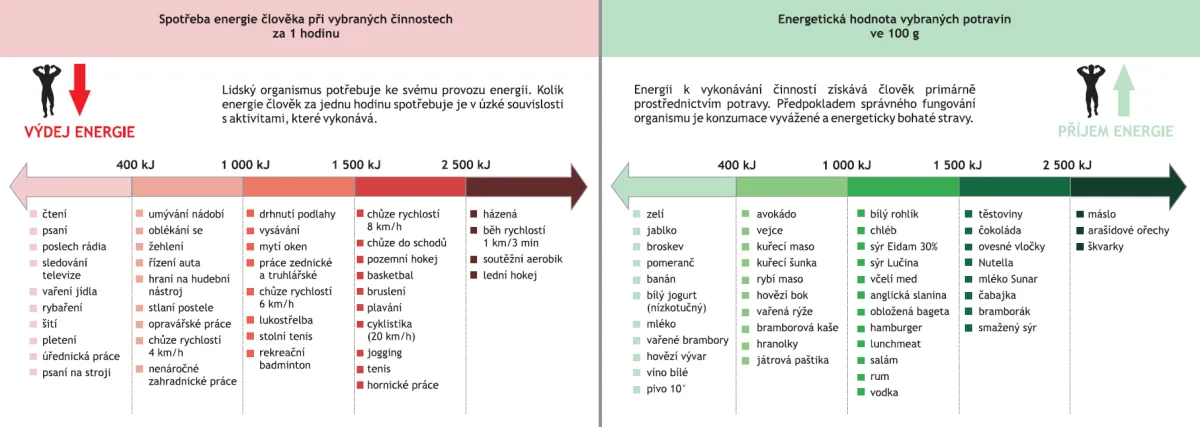SPOTŘEBA A PŘÍJEM ENERGIE ČLOVĚKA