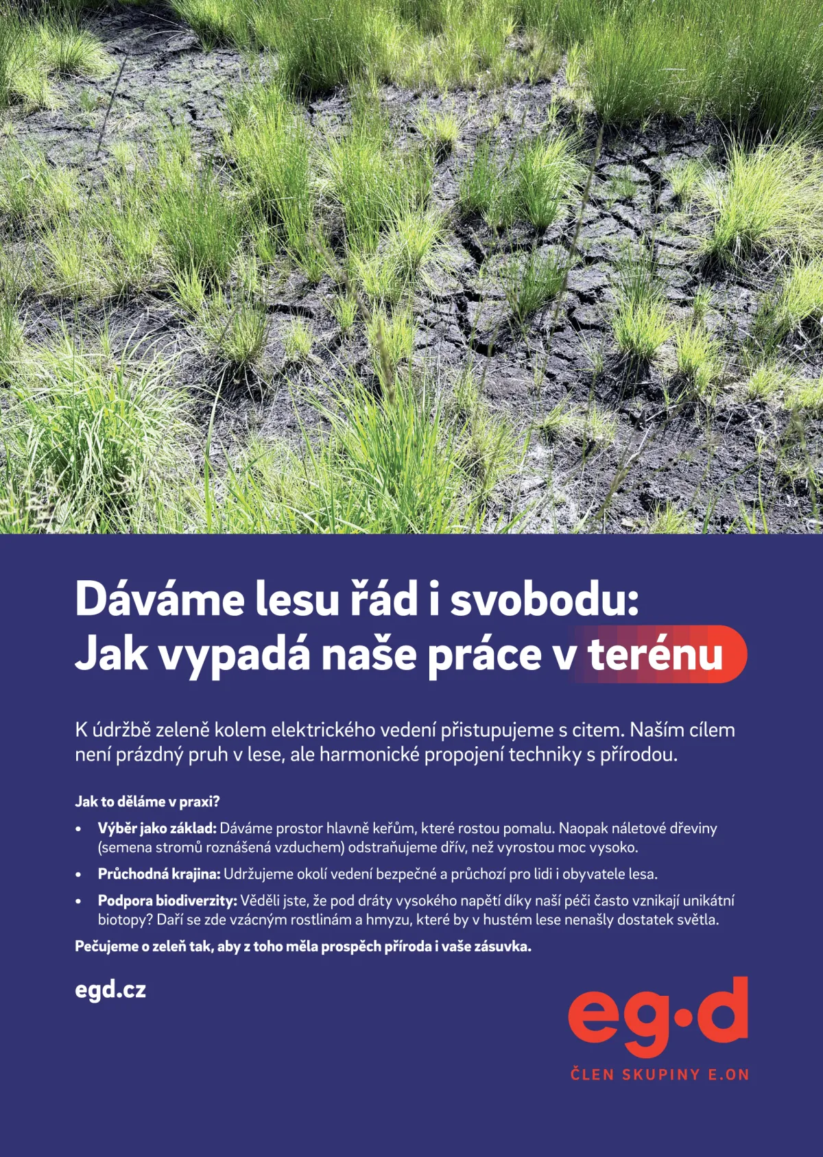 Dáváme lesu řád i svobodu